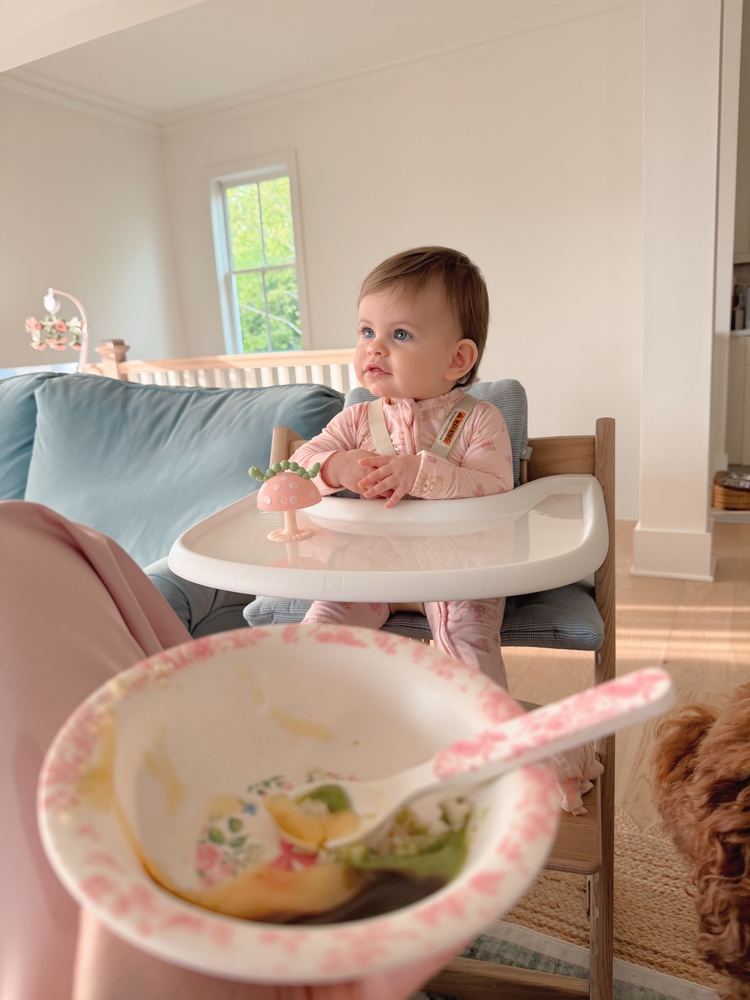 Why is the starting solids era so overwhelming? At least we have the aesthetic high chair and feeding props! Now if we can just master high quality food that’s convenient and she will tolerate! 

#LTKmomlife #LTKBaby #LTKKids