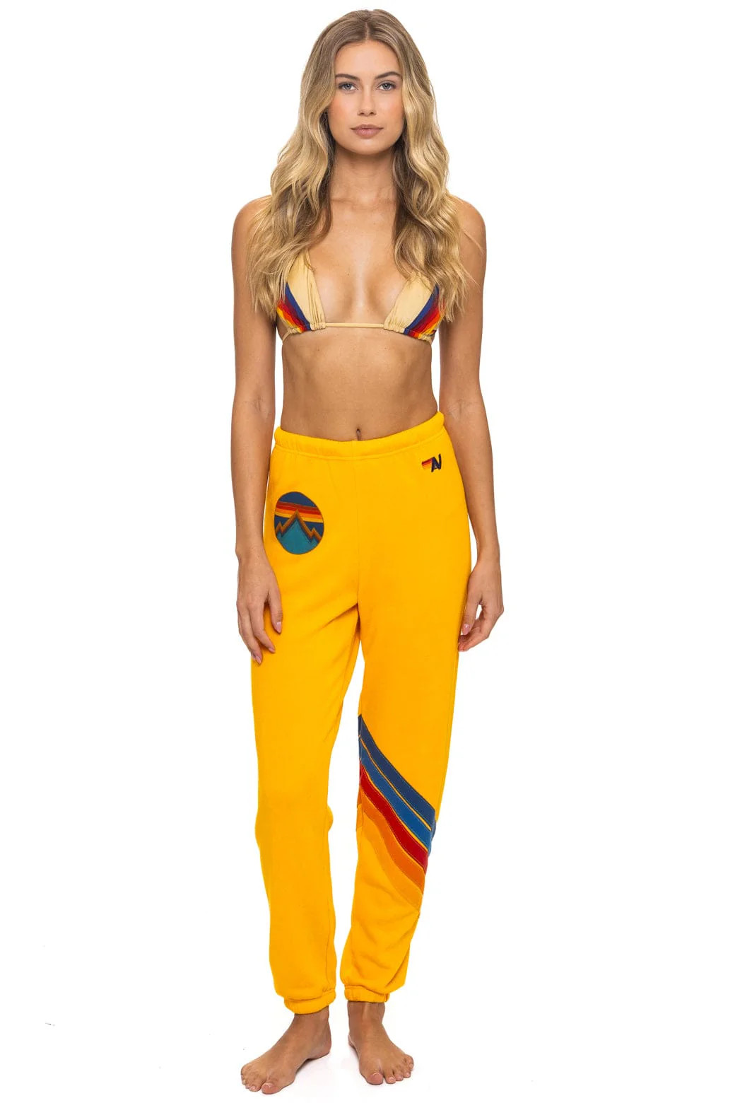 ALL SEASONS CIRCLE CHEVRON SWEATPANTS - GOLD | Aviator Nation