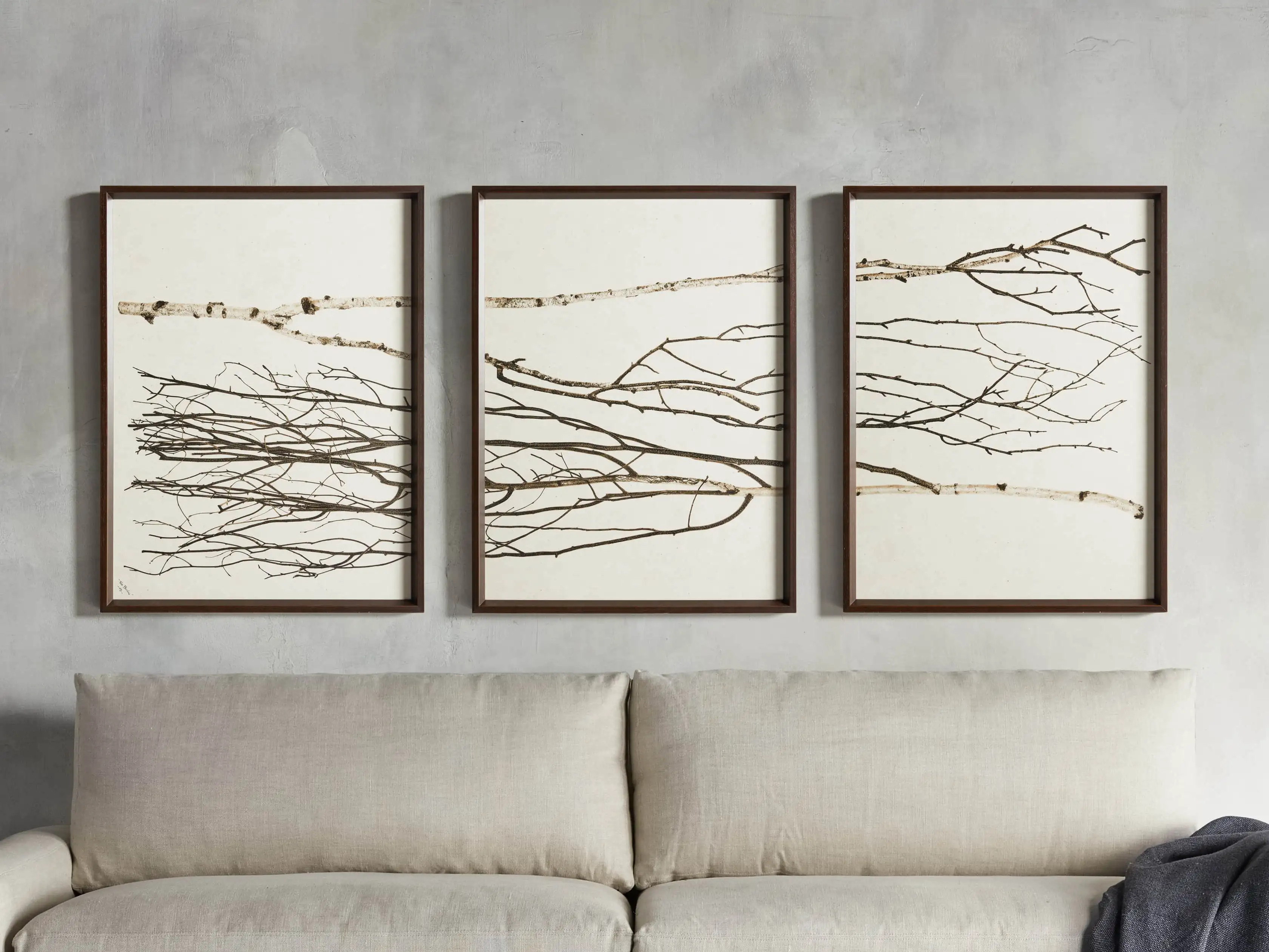 Birch Framed Print (Set of 3) | Arhaus