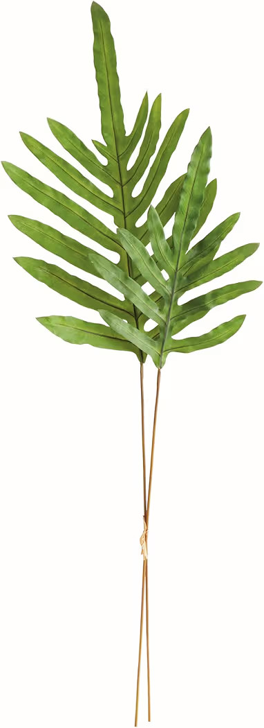 NAPA Home & Garden, Hare's Foot Branches 34", Bundle of 2 | Amazon (US)