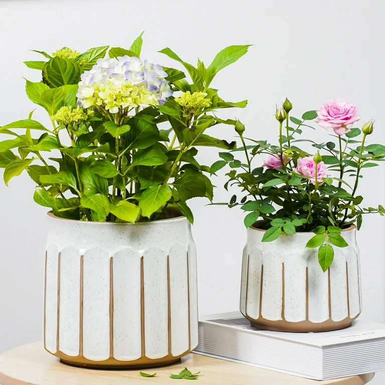 Better Homes & Gardens Pottery 6" Savona Round Ceramic Planter, White - Walmart.com | Walmart (US)