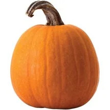 Carving Pumpkin, each | Walmart (US)