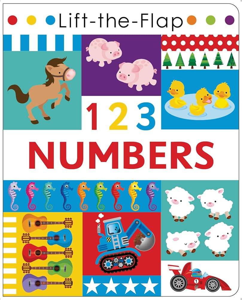 123 Numbers - Lift the Flap Activity Kids Books - Childrens Books, Toddler Books | Amazon (US)