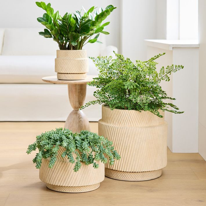 Asher Ceramic Planters | West Elm (US)
