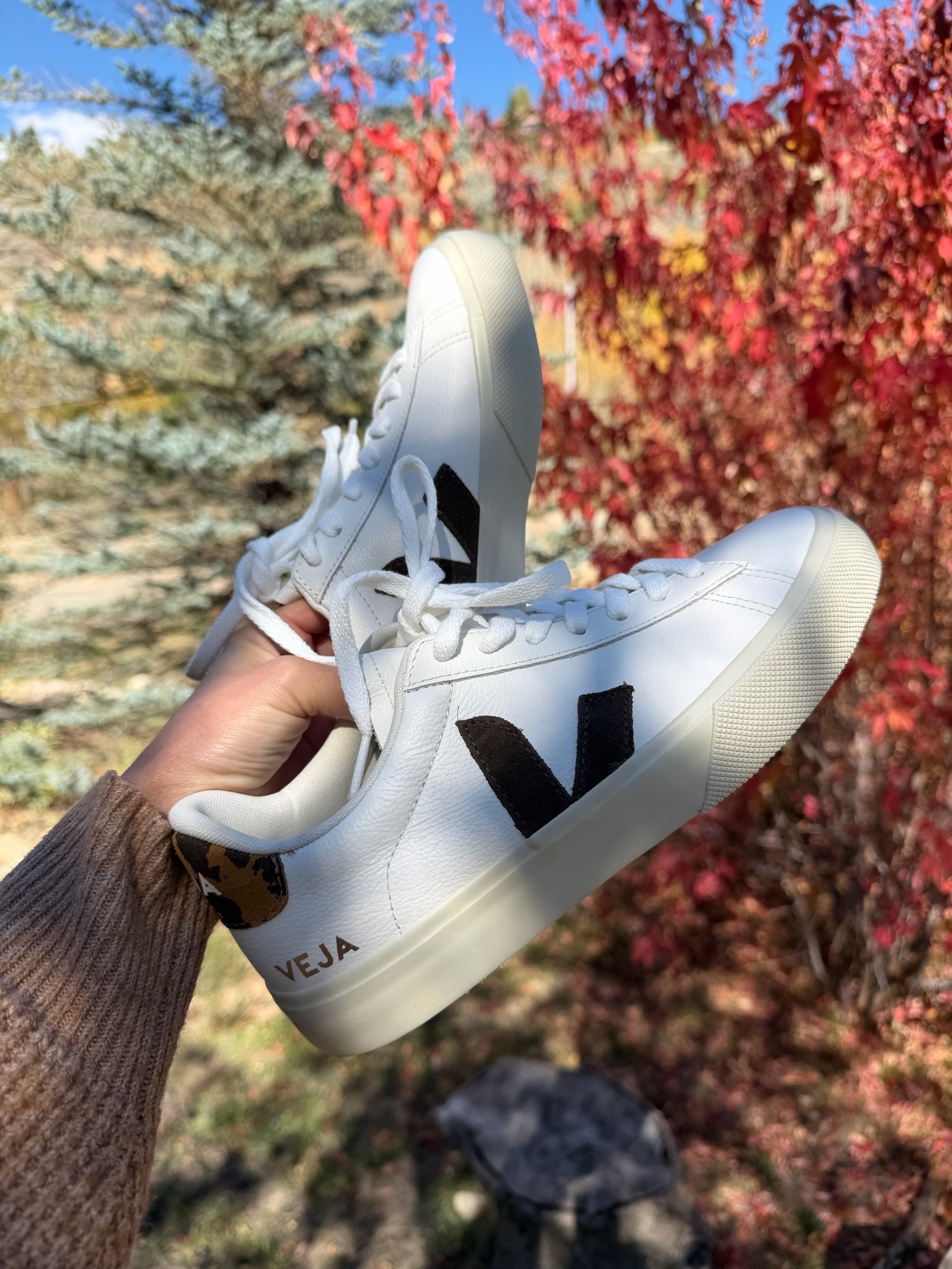 Sneakers for fall!