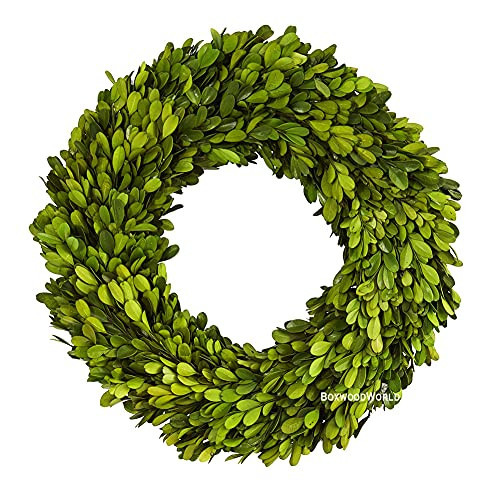 BOXWOOD WORLD Boxwood Wreath 14" Preserved Natural Boxwood Wreath Home Decor Keep Fresh for Years Home Wreath Decor (Preserved Boxwood) | Amazon (US)