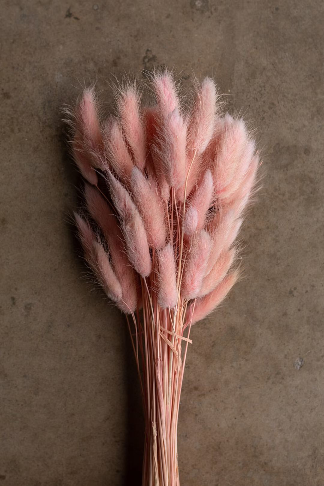 Bunny Tails - Pink | Etsy (US)