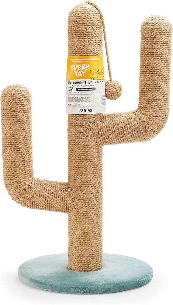EveryYay Scratchin' The Surface Cactus Cat Scratcher 27" H | Amazon (US)