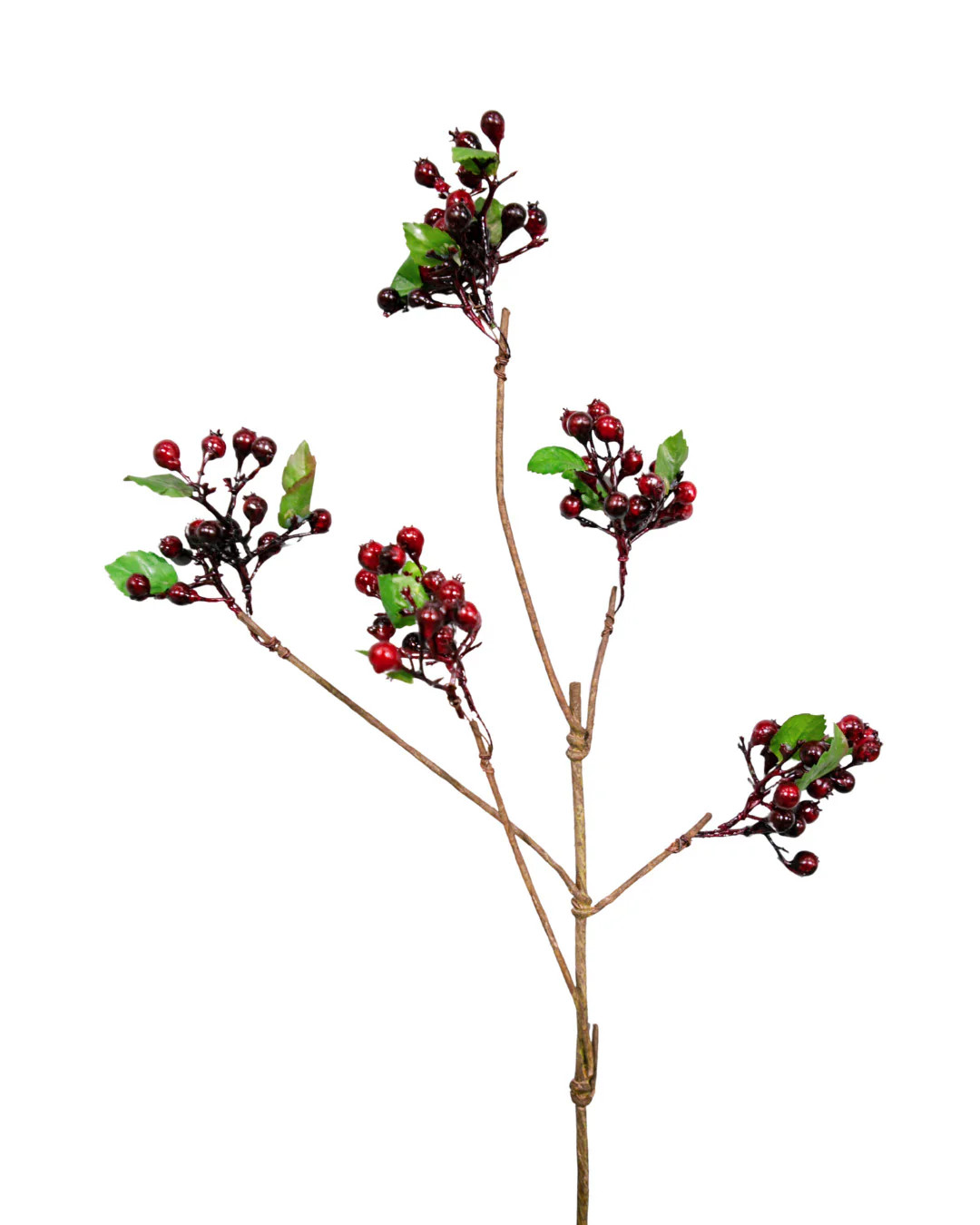 Burgundy Spray | Elements by Remedy