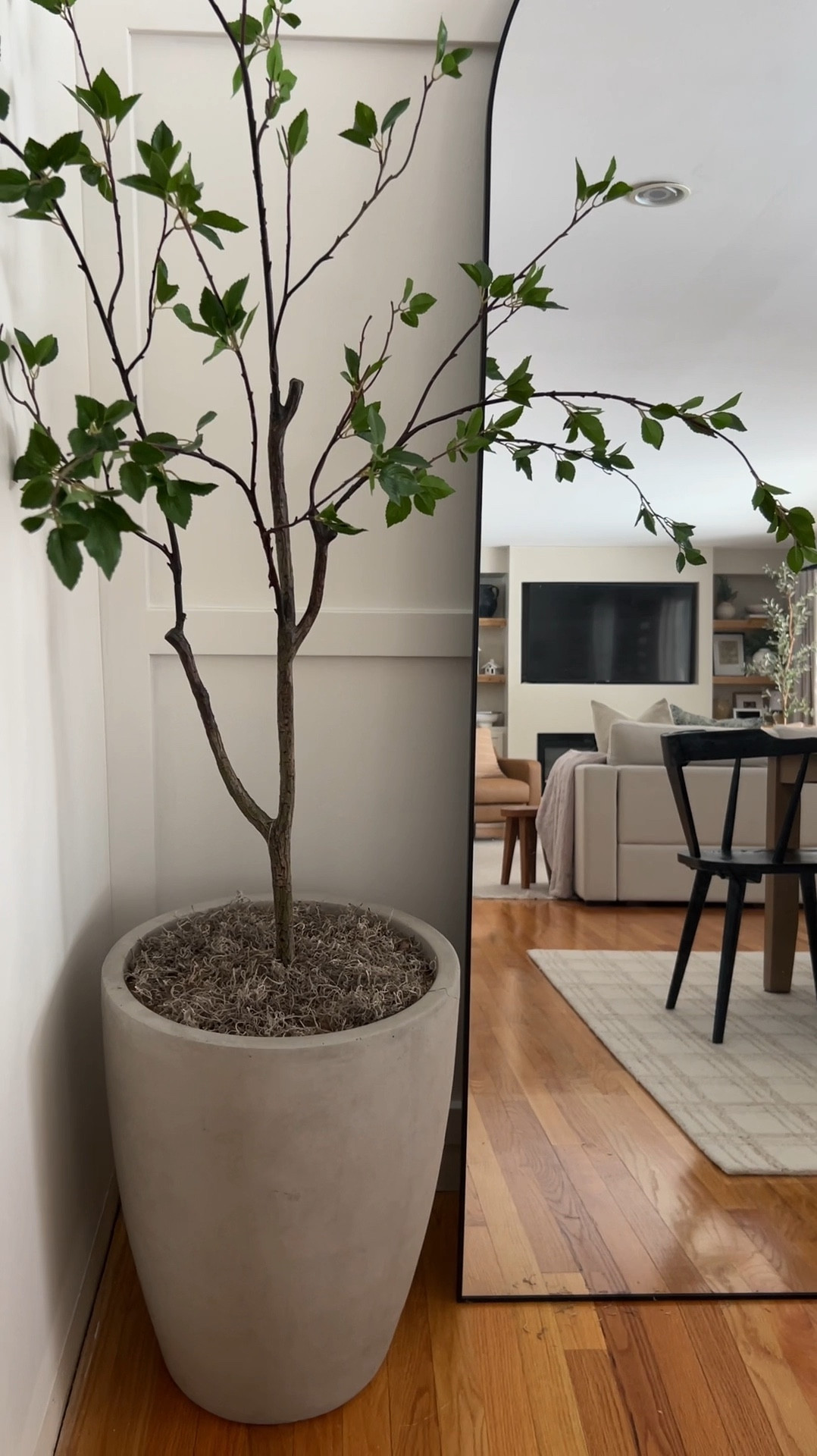 Amazon tree and planter combo I’m loving!


#LTKHome #LTKFindsUnder100 #LTKFindsUnder50