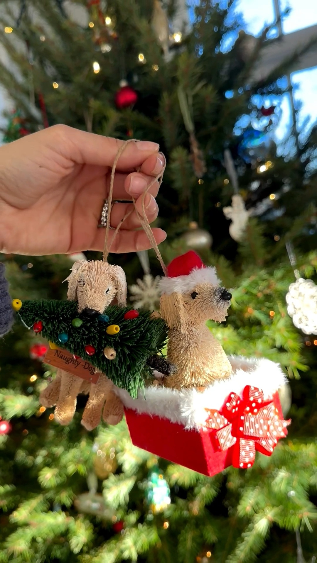 The cutest golden retriever ornaments from Pottery Barn! 

#LTKGiftGuide #LTKHome #LTKHoliday