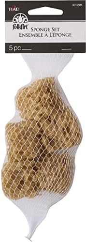 FolkArt Natural Sponge Set, Small | Amazon (US)