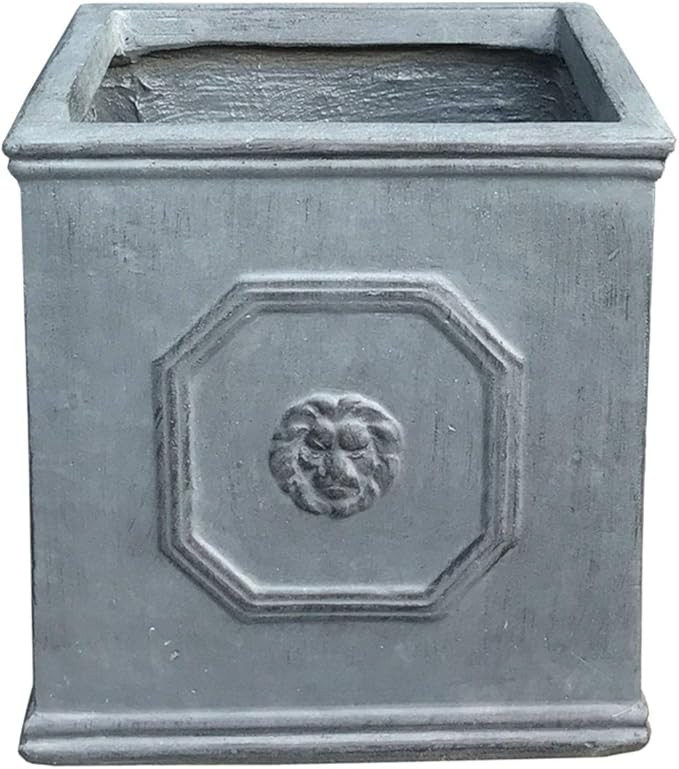 Kante Square Lion Head Concrete Planter, Classic English Style Plant Pot with Drainage Hole and R... | Amazon (US)