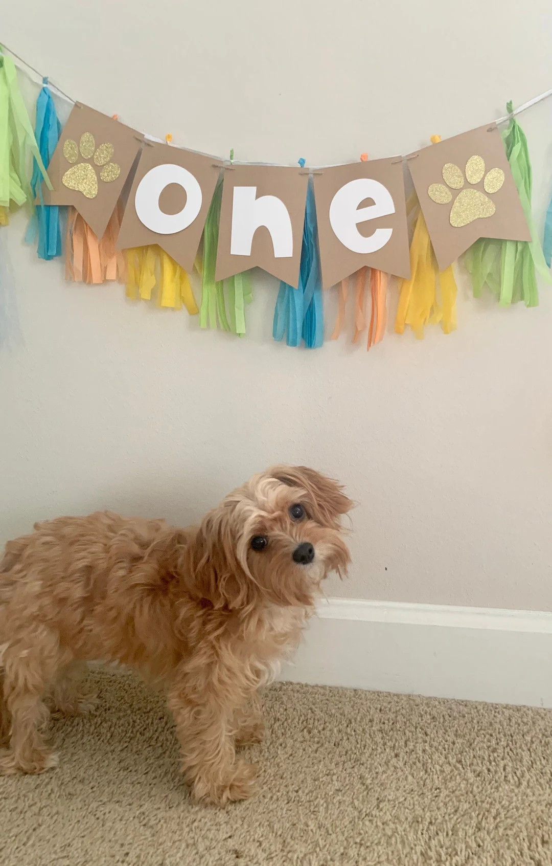 Custom Dog birthday banner-puppy birthday banner-dog age banner-dog pawty-dog birthday celebratio... | Etsy (US)