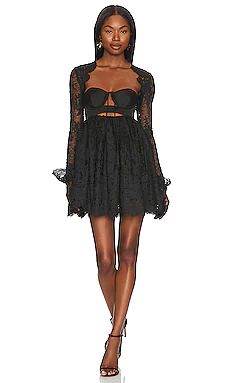 Regina Mini Dress
                    
                    For Love & Lemons | Revolve Clothing (Global)