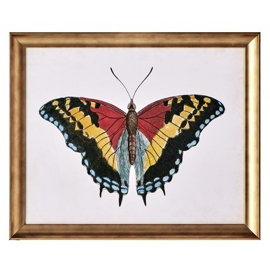 Beautiful Butterfly 4 | Z Gallerie