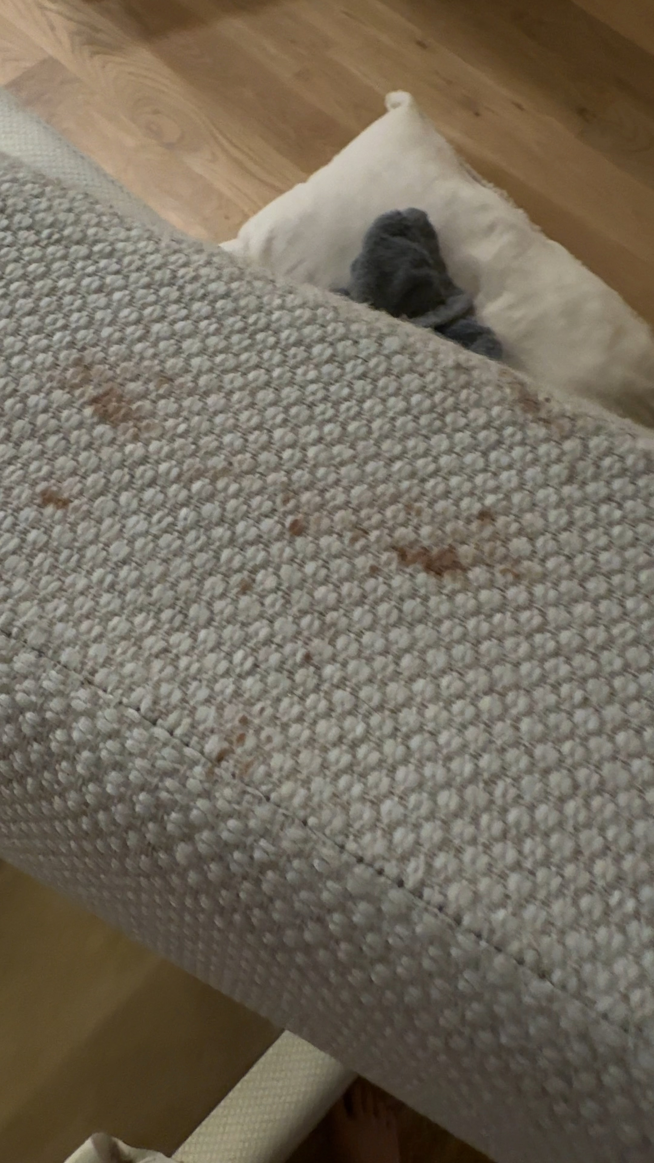 Magic fabric spray 

#LTKHome #LTKKids #LTKPets