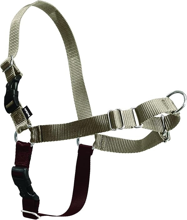 PetSafe Easy Walk Harness for Dogs - Pull-Free Walks - Patented Martingale Loop Design - Front Ch... | Amazon (US)