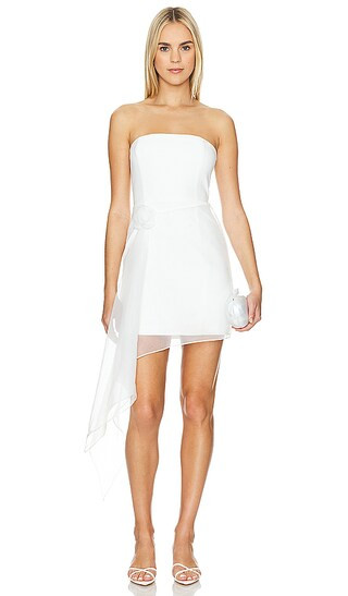 Mandy Rose Dress in Ivory | Revolve Clothing (Global)