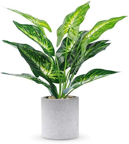 WUKOKU 16" Fake Plants Faux Potted Plants Small Artificial Plants Indoor for Home Farmhouse Offic... | Amazon (US)