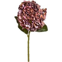 Hill Interiors Artificial Autumn Hydrangea in Purple | Debenhams UK