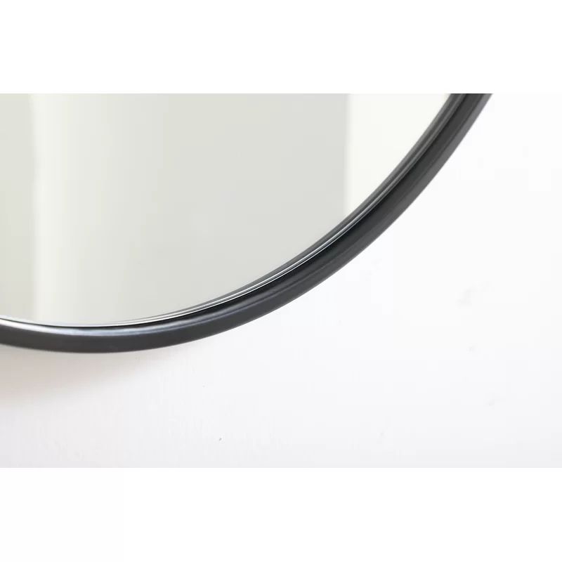 Needville Modern & Contemporary Accent Mirror | Wayfair North America