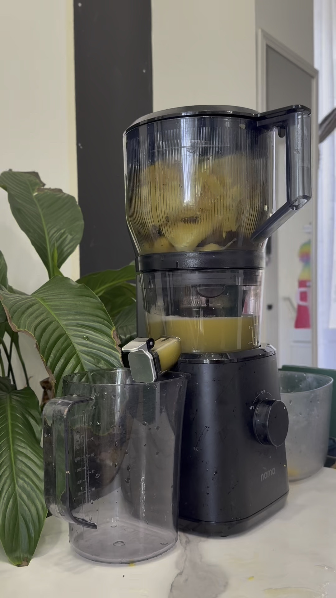 This Mother’s Day, give mom something that actually upgrades her daily routine. The J2 Cold Pressed Juicer is hands down one of the best investments for her health, her glow, and her overall lifestyle.

Shop the J2 Cold Pressed Juicer now on my LTK.

#ShoppingWithPriiincesss #MothersDayGiftGuide #NamaJ2Juicer #JuicerLife #HealthyMomLife #WellnessLifestyle #JuicingRoutine #MomFavorites #SelfCareRoutine #HealthyHabits #DailyWellness #GlowUpJourney #LifestyleEssentials #AtlantaMom #Atlantamom #Atlantabloggers #Atlantablogger #AtlantaCreator #Atlantacontentcreators #Atlantacontentcreator

#LTKHome #LTKMothersDay #LTKselfcare