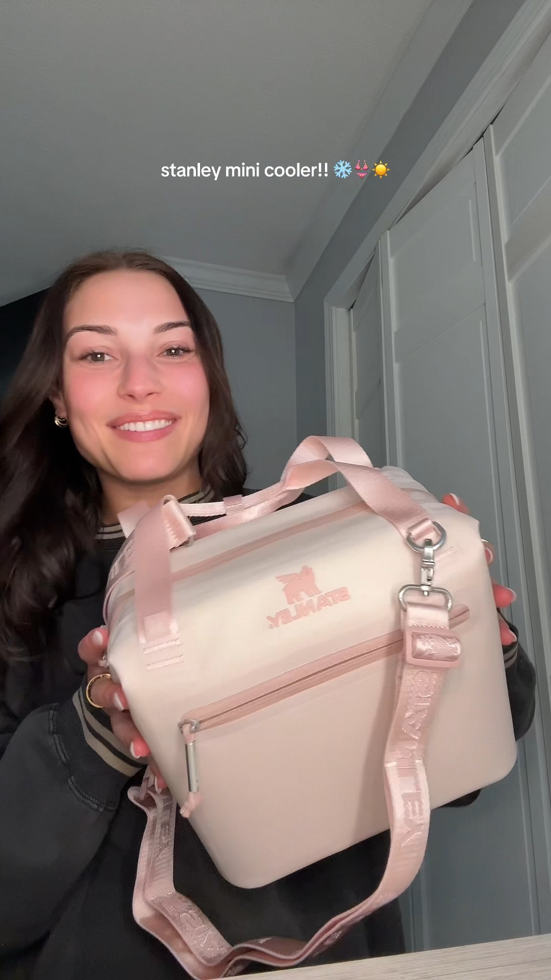 rose quartz stanley mini cooler!! 🌸🐷👙🩰💕

#LTKSeasonal #LTKSwim #LTKGiftGuide