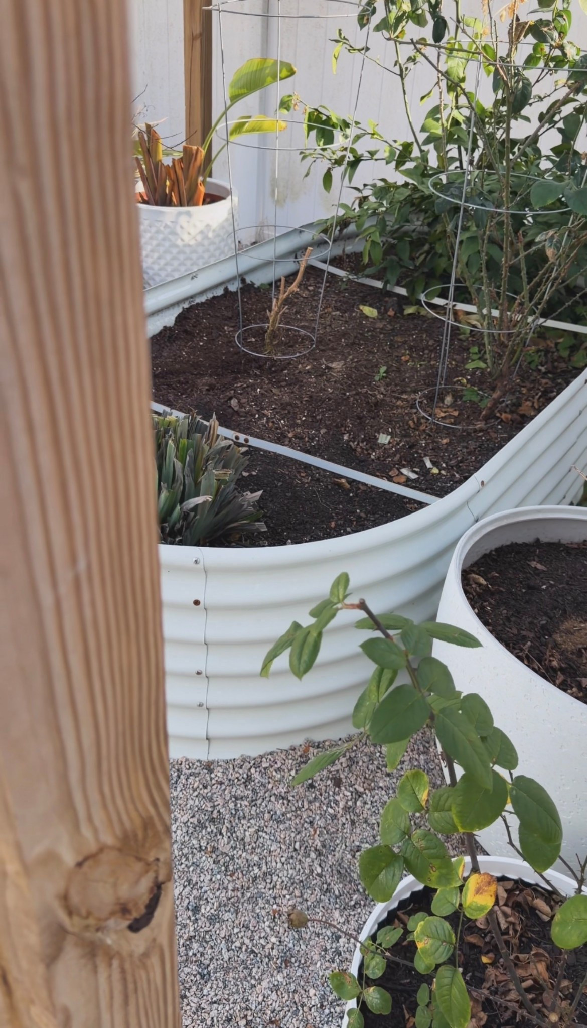 Raised garden beds 🌿 planters 🪴

#LTKHome #LTKSeasonal