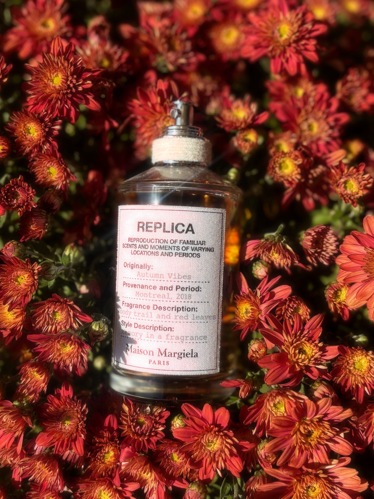 My favorite fall perfume!! 

#LTKHalloween #LTKBeauty #LTKSeasonal