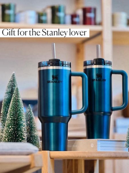 Stanley cup
Stanley mug


#LTKfindsunder50 #LTKGiftGuide