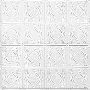 American Tin Ceilings [5 Pack] 24" x 24" 100% Tin Nail-Up Ceiling Tiles | Pattern #3 Bright White... | Amazon (US)