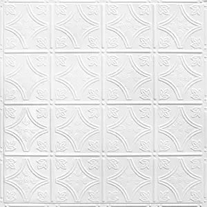 American Tin Ceilings [5 Pack] 24" x 24" 100% Tin Nail-Up Ceiling Tiles | Pattern #3 Bright White... | Amazon (US)