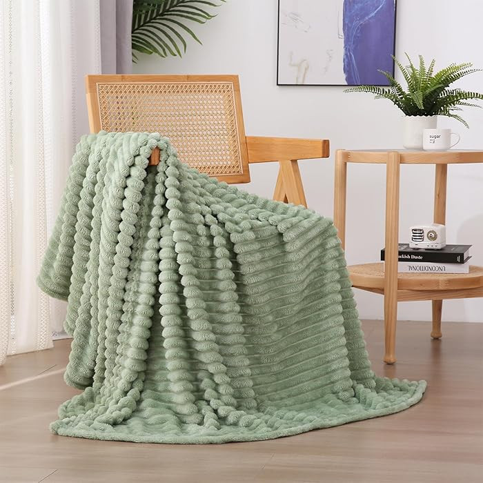 Sage Green Fleece Throw Blanket 50\u201d\u00d760\u201d for Couch Sofa Livingroom | Amazon (US)