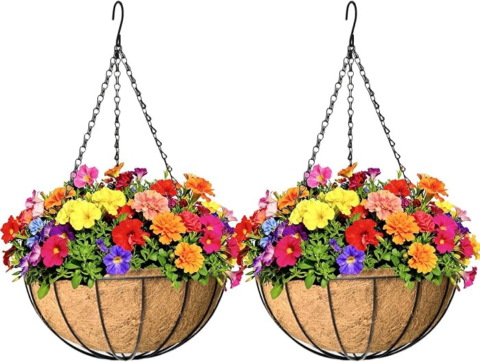 2 Pack 12 inch Hanging Baskets Planter for Plants Vegetables Flowers Outdoor Black Round Wire Pla... | Amazon (US)