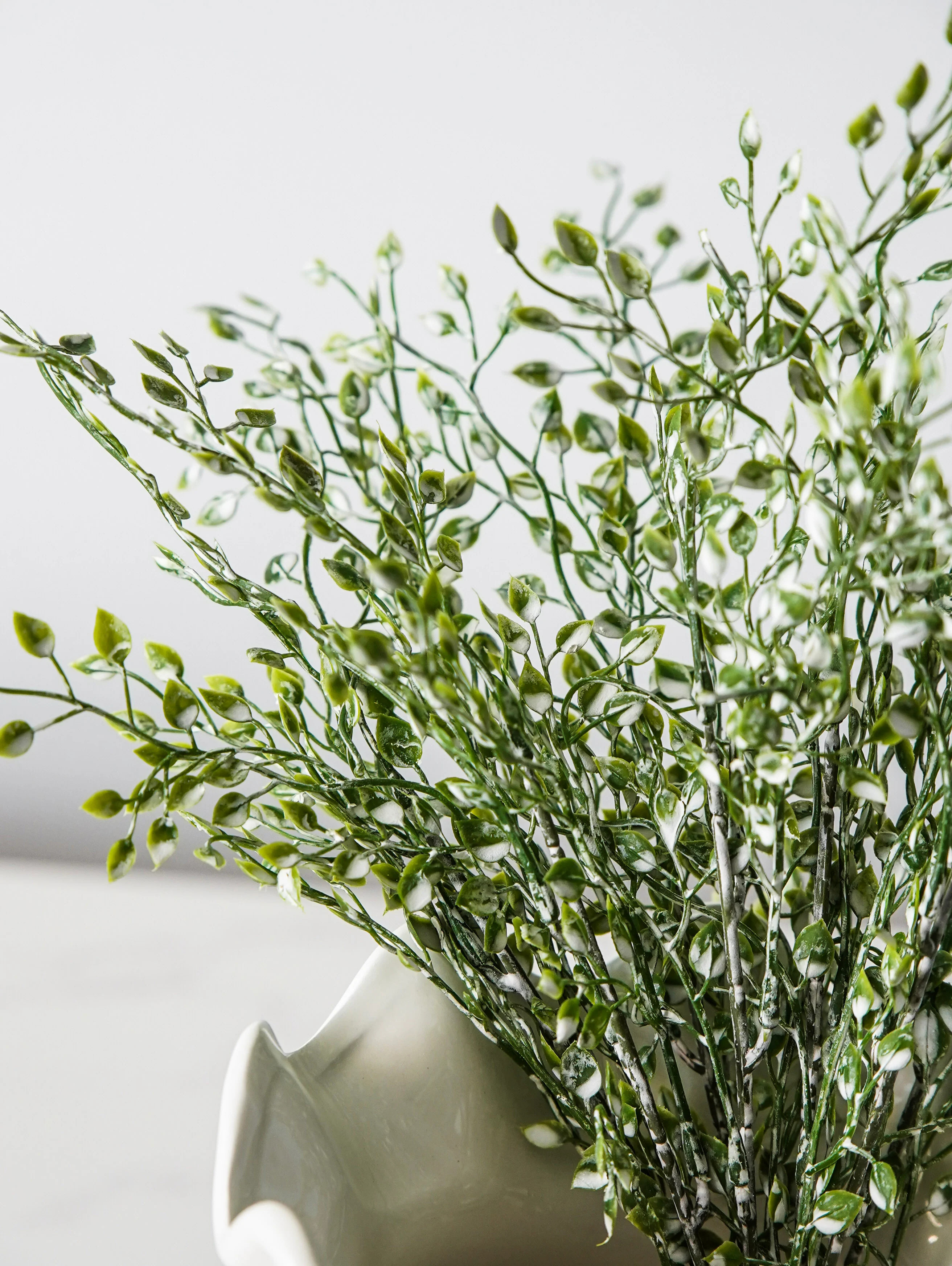 Little Nova Bush Bunch | MJHome