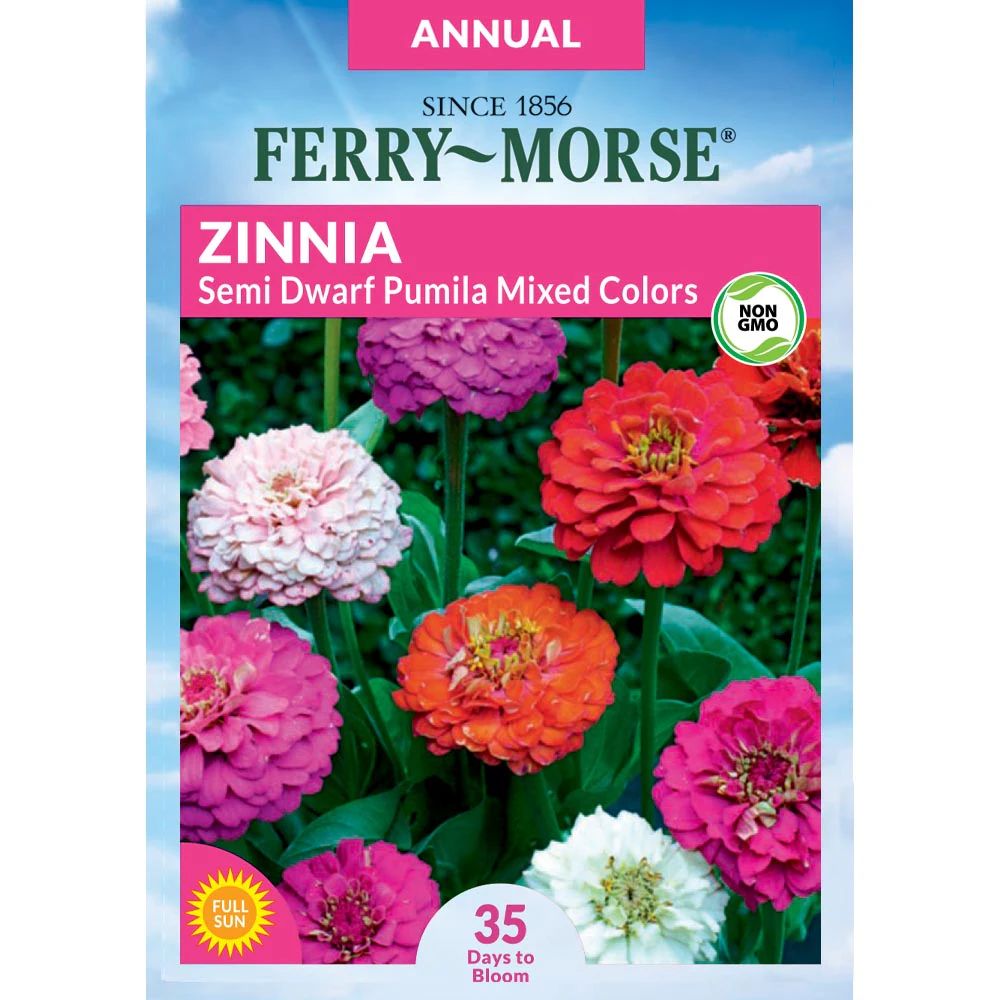 Ferry-Morse Zinnia Pumila Semi Dwarf Mixed Colors Flower Seeds (Seed Packet) 0.5-Gram | Lowe's