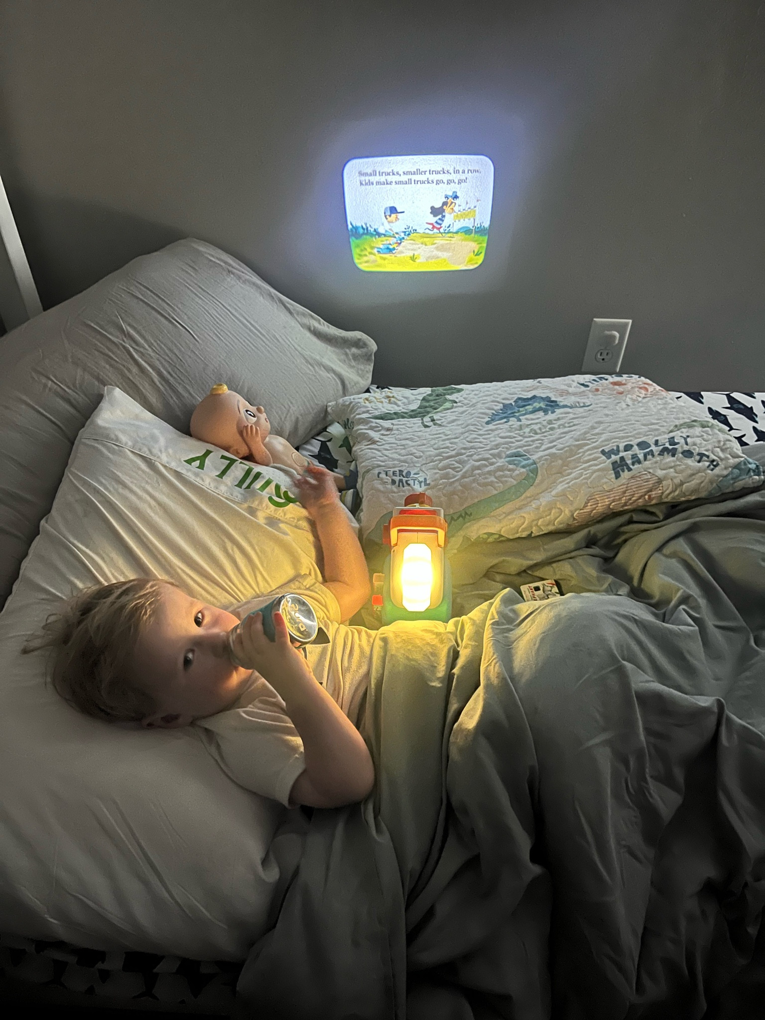 Truly one of the best gifts we have ever received. This read aloud fisher price toy has allowed us to transition to Hayes going to sleep on his own in the room by himself. I wish we had bought one years ago, the BEST toy find for littles. 100% recommend.

#LTKBump #LTKFamily #LTKKids