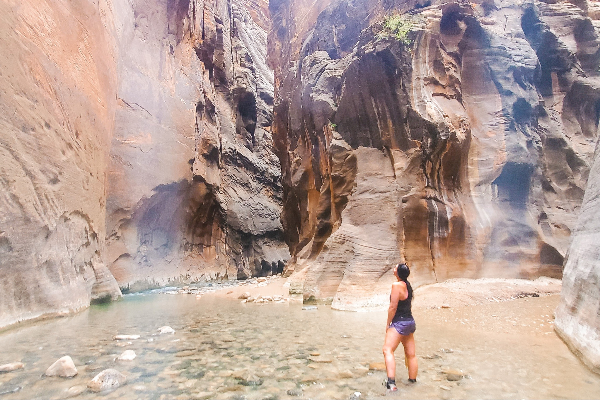 Waterproof Hiking Essentials 

Hiking 
Hiking accessories


#LTKunder100 #LTKunder50 #LTKtravel