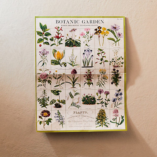 Botanic Garden Puzzle | Terrain