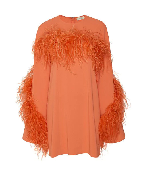 Crepe Shift Dress With Feathers | LAPOINTE