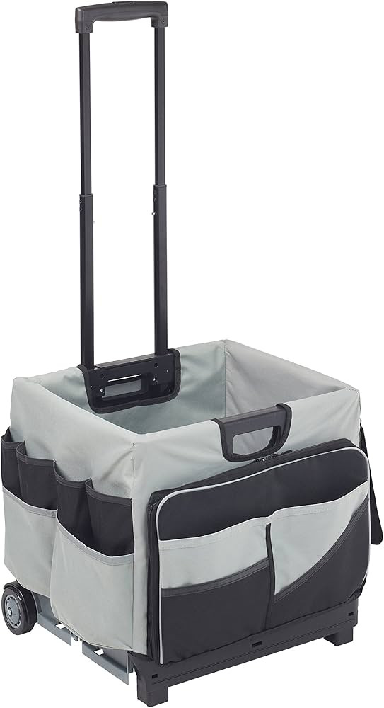 ECR4Kids Universal Rolling Cart with Canvas Organizer Bag, Mobile Storage, Black | Amazon (US)