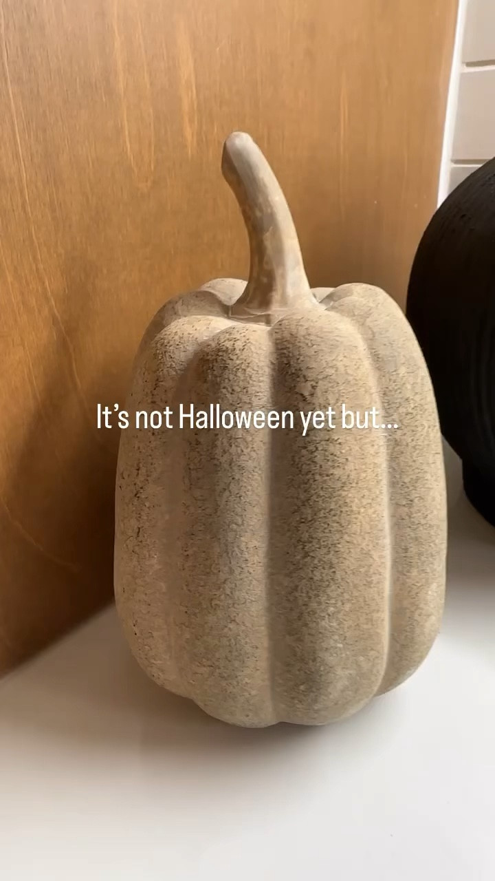 Christmas decor is coming in hot!! Target stems for $5! The vase is still available locally at a lot of target stores too!

#LTKHolidaySale #LTKHoliday #LTKfindsunder50