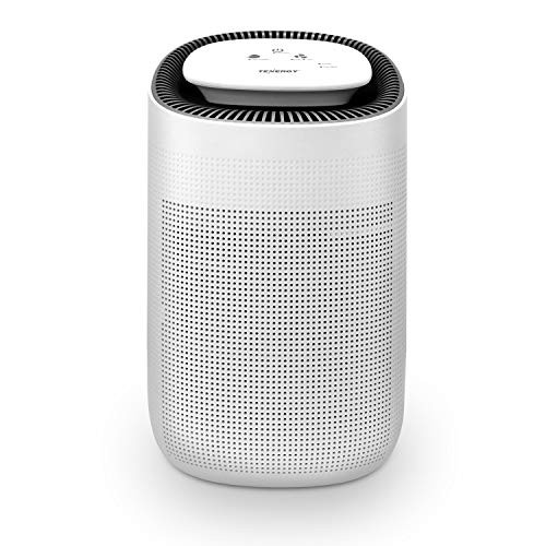 Tenergy Sorbi 1000ml Air Dehumidifier w/Purifying Function, True HEPA Filter, Auto Shutoff, Touch... | Amazon (US)