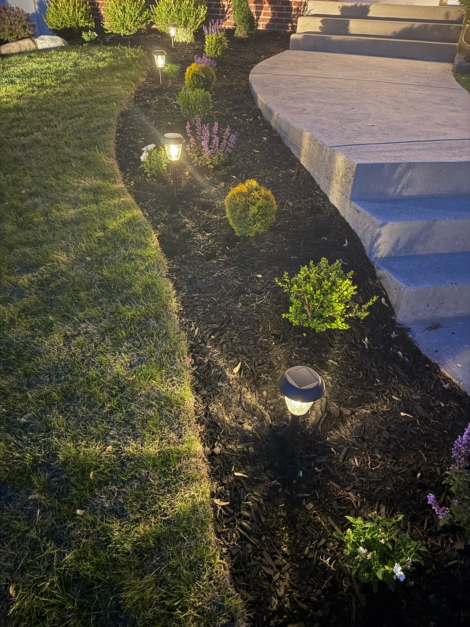 Prettiest garden/pathway outdoor solar lights 🏡

#LTKSeasonal #LTKHome #LTKSaleAlert