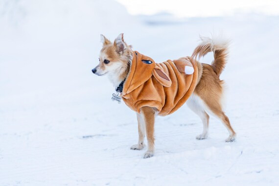 Eevee Dog Costume | Pokemon Outfit For Pets | Anime Dog Apparel | Dog Hoodie | Pet Dog Gift | Pet... | Etsy (US)