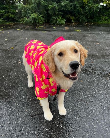 Charly’s rain coat! So cute. 

#LTKHalloween #LTKkids #LTKSeasonal