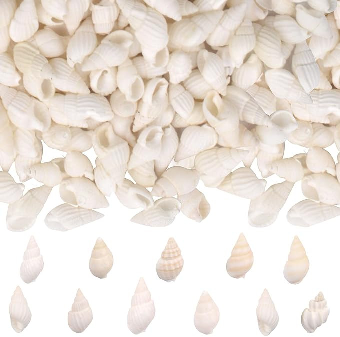 About 1200pcs(200g) White Mini Natural Conch Sea Tiny Shells, 1~2CM Small Beach Spiral Seasnail S... | Amazon (US)