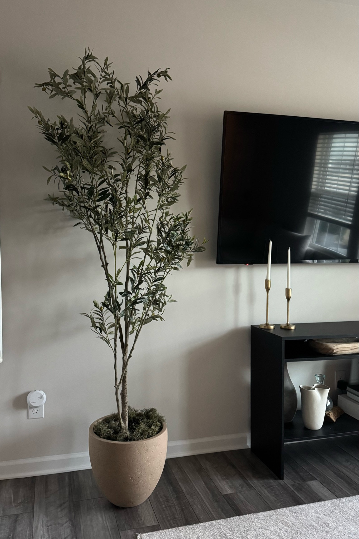 the perfect wispy faux olive tree 

#LTKHome