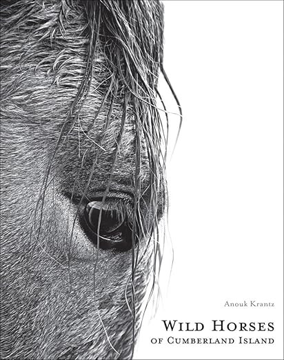 Wild Horses of Cumberland Island (Anouk Masson Krantz)      Hardcover – May 5, 2020 | Amazon (US)
